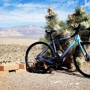2018 Norco Bikes Search XR Blue