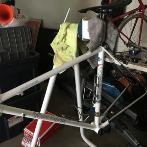 1990 Concorde Gavia White
