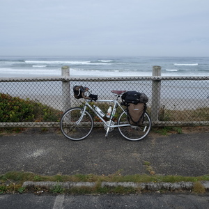 2014 Surly Long Haul Trucker  Silver or Gray