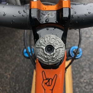 2019 Rocky Mountain Bicycles Instinct BC Edition (Custom) Orange and Green