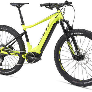 2019 Giant Hardtail Yellow or Gold and Black