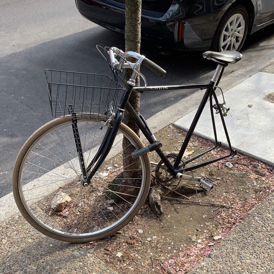 Bike photo