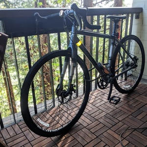 2019 Jamis Renegade Silver, gray or bare metal