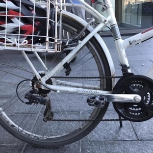 Schwinn Discover White