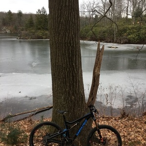 2017 Santa Cruz Bronson Black and Blue