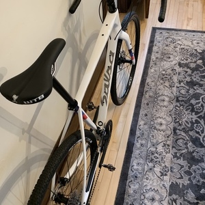 Salsa Warbird Carbon 105 Bike , White