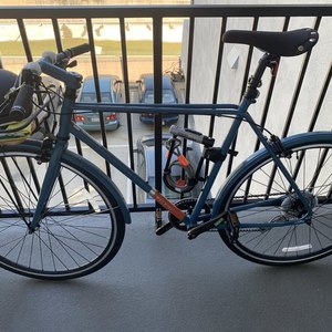 2019 Raleigh Carlton Blue and Orange