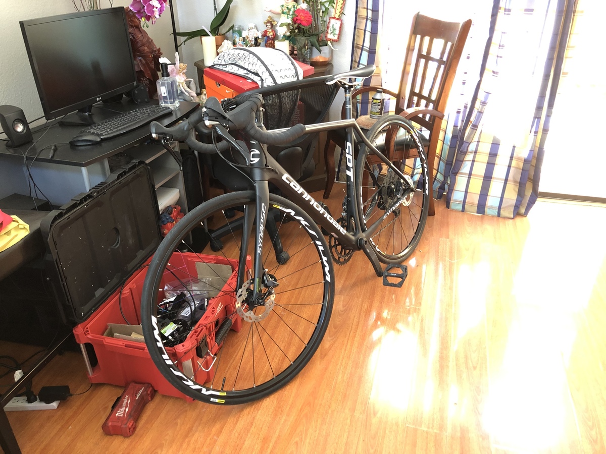 cannondale synapse black and white