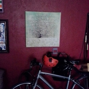 2011 Trek 7.3 FX WSD  Silver or Gray