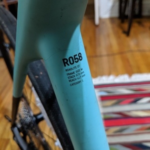 2019 Canyon bicycles Roadlite CF Silver, gray or bare metal and Green