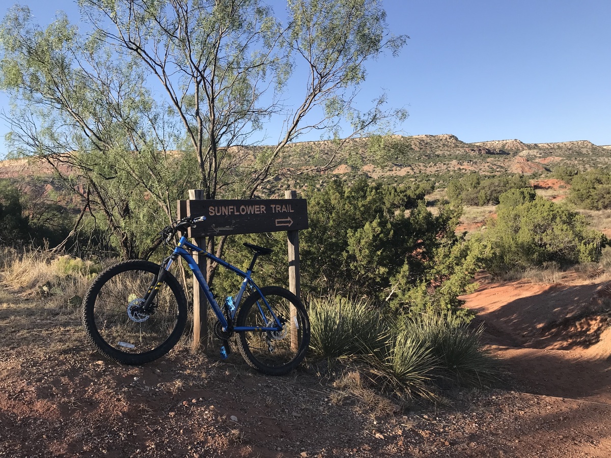 Stolen 2018 Redline Zander