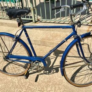 Nishiki unsure Blue