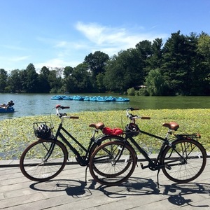 2019 Priority Bicycle Classic, Diamond Black and Brown