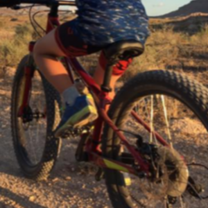 2017 Specialized Hot Rocks Red and Yellow or Gold