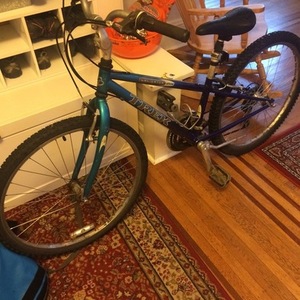 Trek Navigator 200  Blue