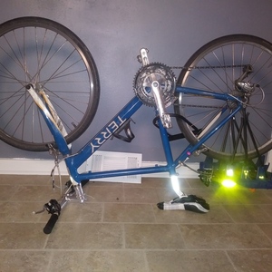 2012 Terry Symmetry Blue, Yellow or Gold, and White