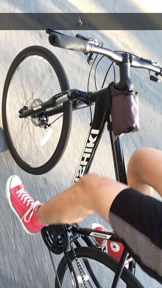 nishiki bike stickers