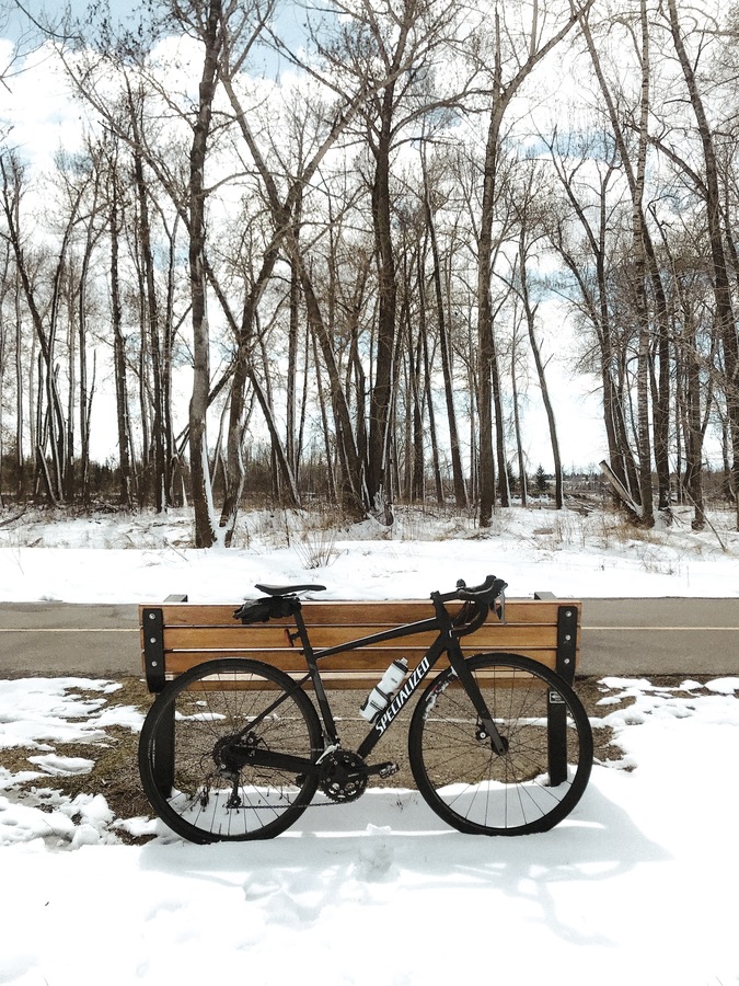 2019 Specialized E5 Premium Aluminum