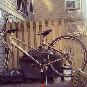 Giant Silver, gray or bare metal