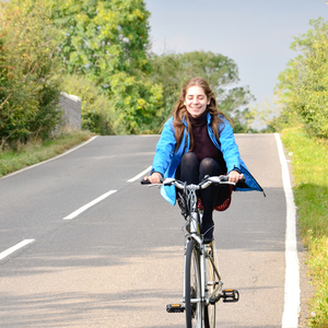 Ridgeback dbat0050093  Silver or Gray