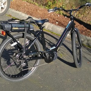 2019 Raleigh Black