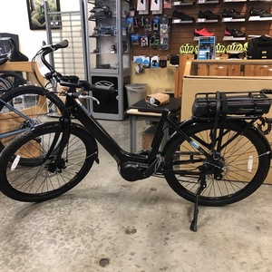 2019 Raleigh Black