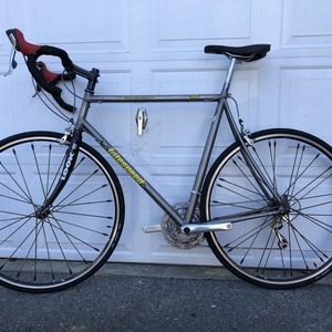 1998 Litespeed Tuscany Silver, gray or bare metal