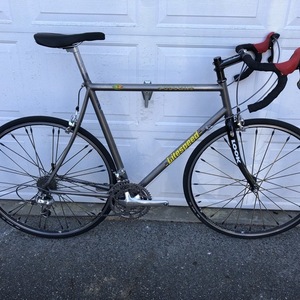1998 Litespeed Tuscany Silver, gray or bare metal
