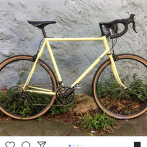Ebisu Yellow or Gold