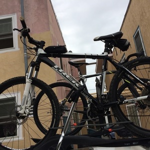 2013 Trek Trek 6000  Black and White