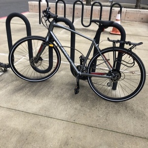 2019 Specialized Silver, gray or bare metal