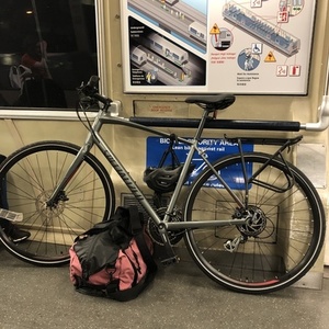 2019 Specialized Silver, gray or bare metal