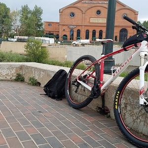 2011 Specialized Stumpjumper Expert 29er White and Red