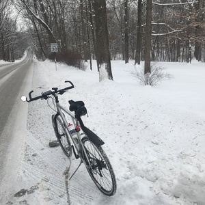 2009 GT Bicycles Transeo 1.0 Silver, gray or bare metal