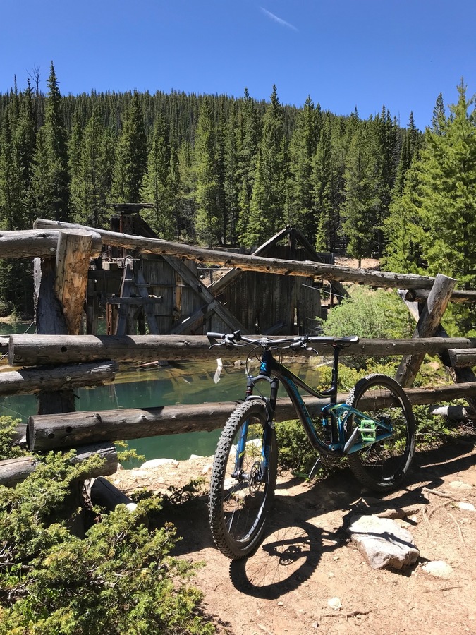 giant liv intrigue 2019