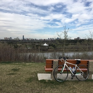 2015 Trek Lexa White