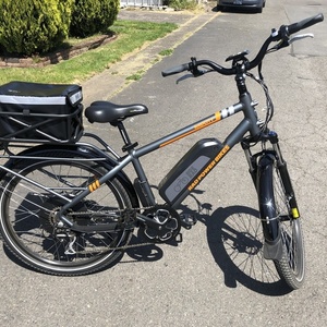 2019 Rad Power Bikes 16 inch Radcity Silver, gray or bare metal