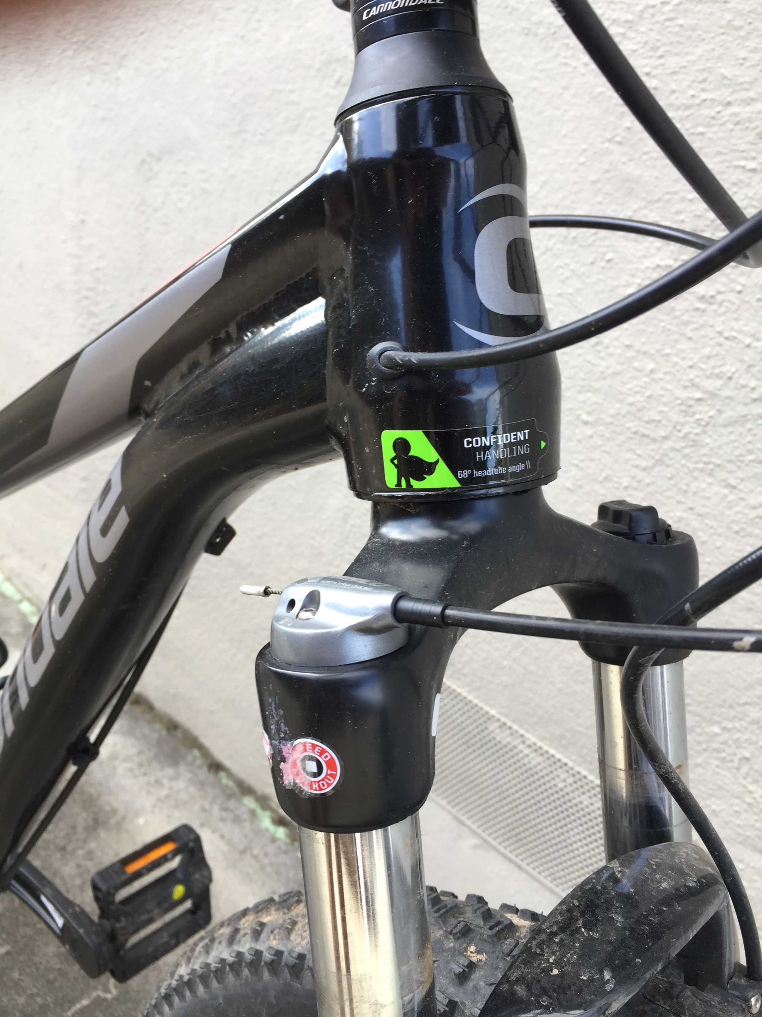 cannondale tango 2 2018