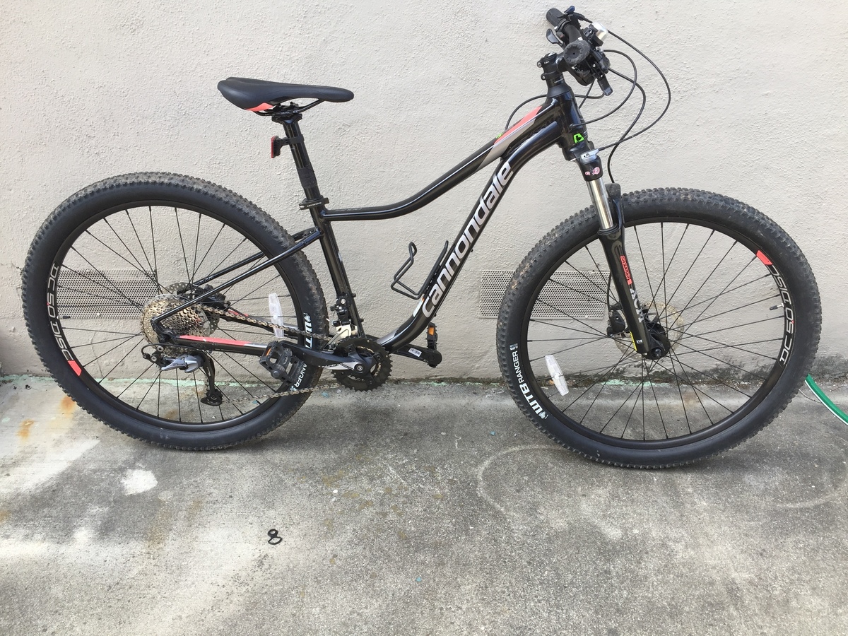 cannondale tango 2 2018