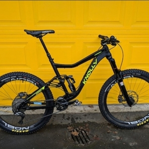 2017 Knolly Warden Black and Yellow or Gold