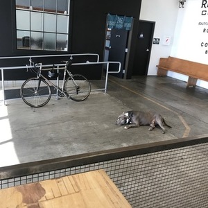 1994 Lightspeed Basso Silver, gray or bare metal
