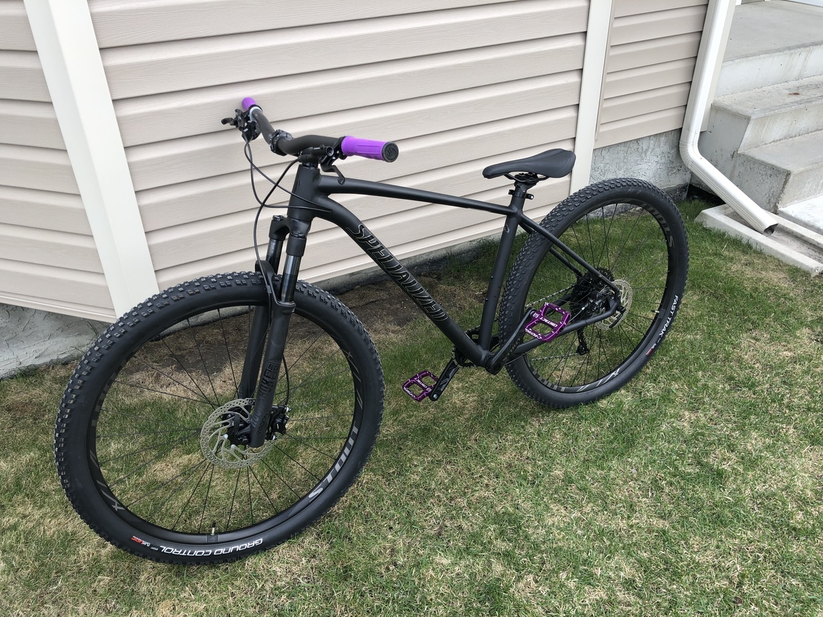 specialized rockhopper review 2019