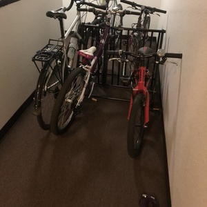 2019 Cannondale Silver, gray or bare metal and Blue