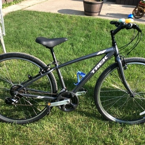 2019 Trek Silver, gray or bare metal
