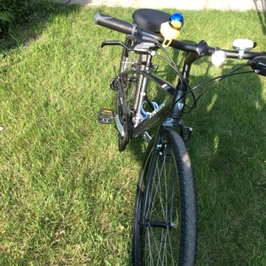 2019 Trek Silver, gray or bare metal