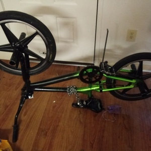2009 Haro 20" Custom freestyle Green and Black