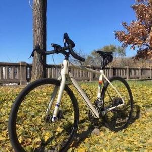 2018 Salsa Warbird Brown