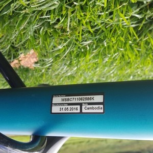2016 Specialized Alibi Blue