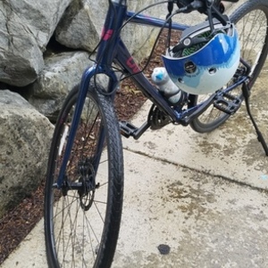 2019 Giant Alight 2 Blue