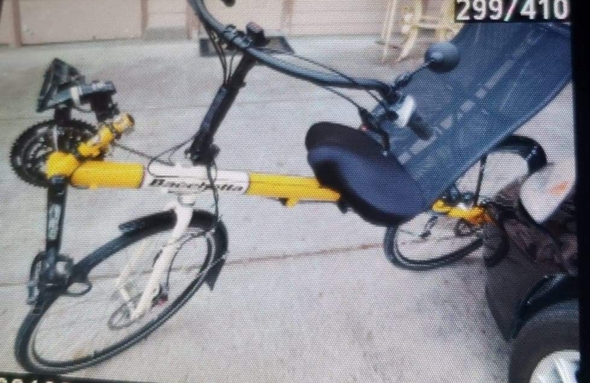 Recumbent photo
